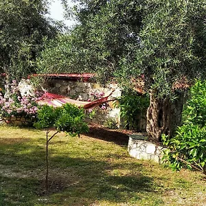 Filoxenia - The Place Of Experience 3* Himare
